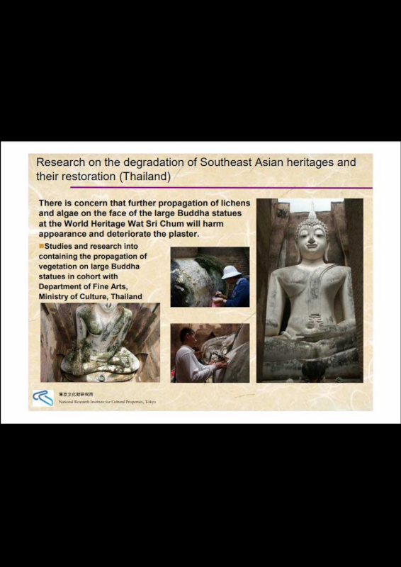 International Cooperation in the Conservation of Cultural Heritage (2009)