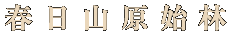 春日山原始林